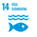 14_vida-submarina